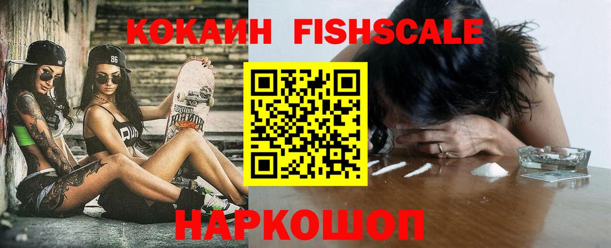 где можно купить   Вход с VPN  Холмск  COCAIN Fish Scale  Cocaine 