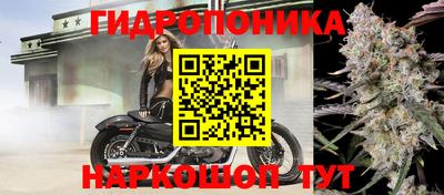 spice Кимры