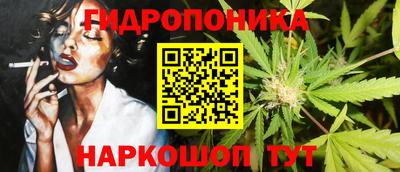 spice Кимры