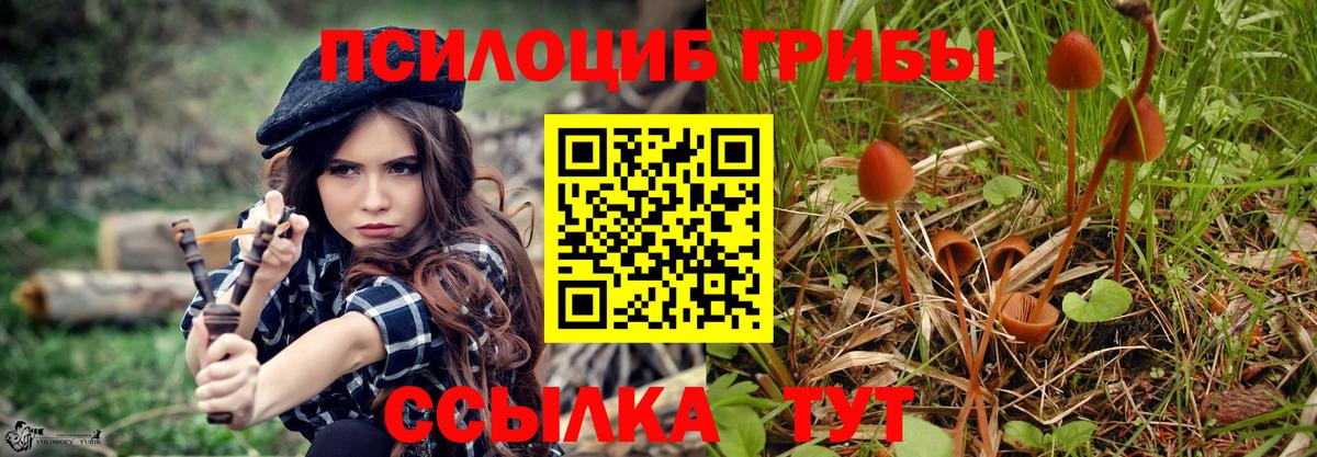 Псилоцибиновые грибы прущие грибы  Галлюциногенные грибы GOLDEN TEACHER  Вход с VPN  Холмск 