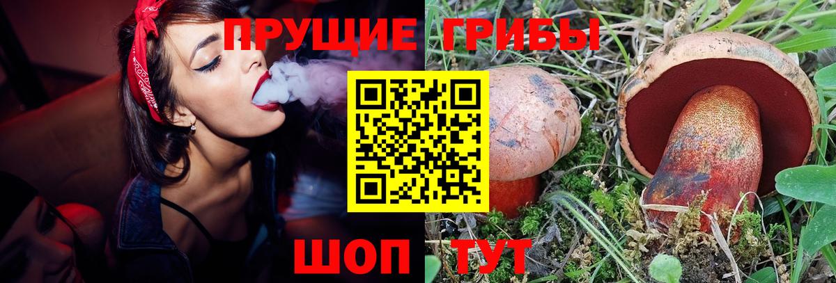 Псилоцибиновые грибы Cubensis Холмск